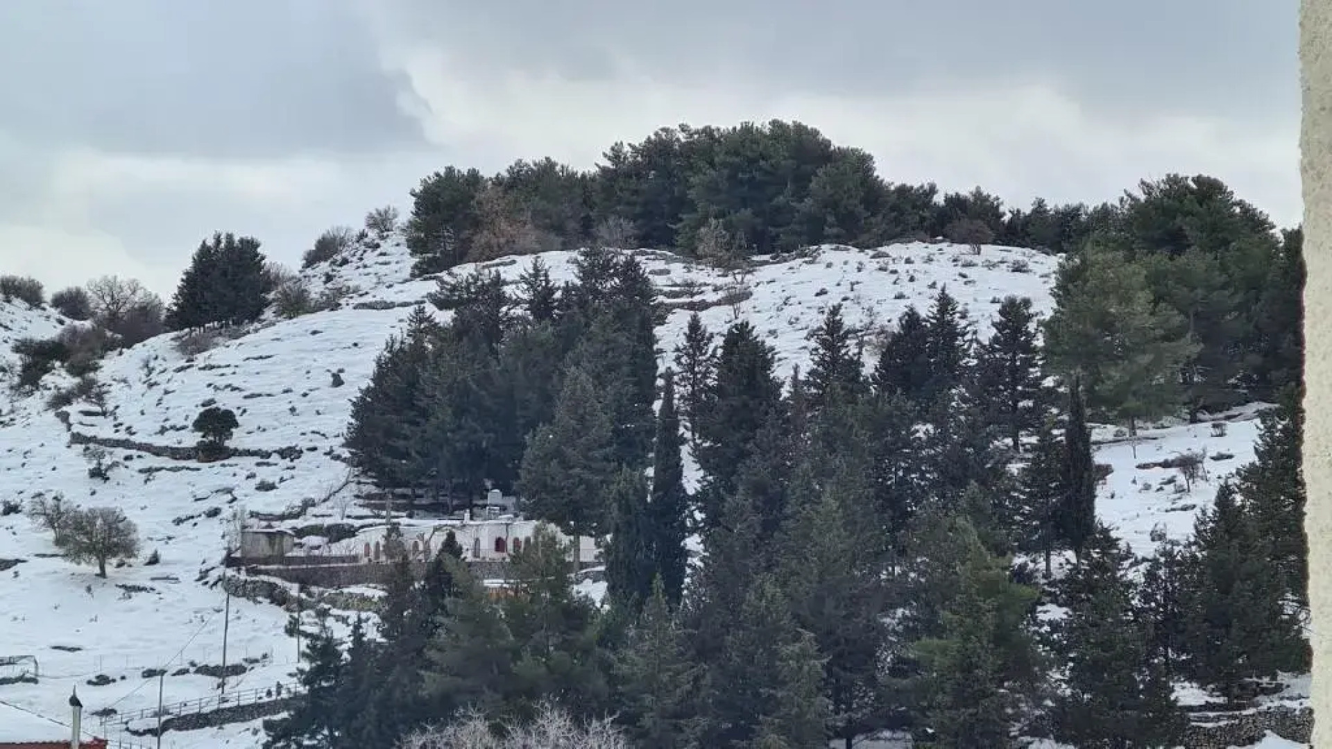 ''Prasini Folia'' Apartments - Apartment ''IDA''