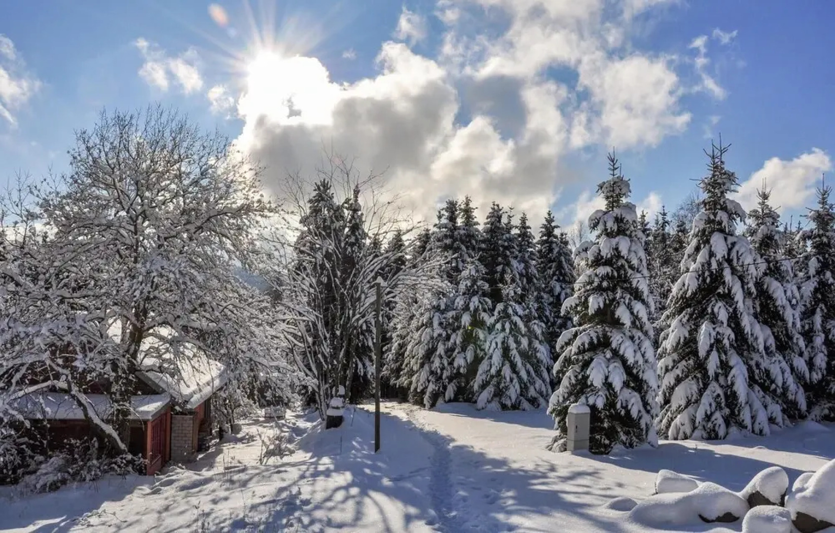 Amazing Home in Goldlauter-heidersbach With 1 Bedrooms, Sauna and Wifi