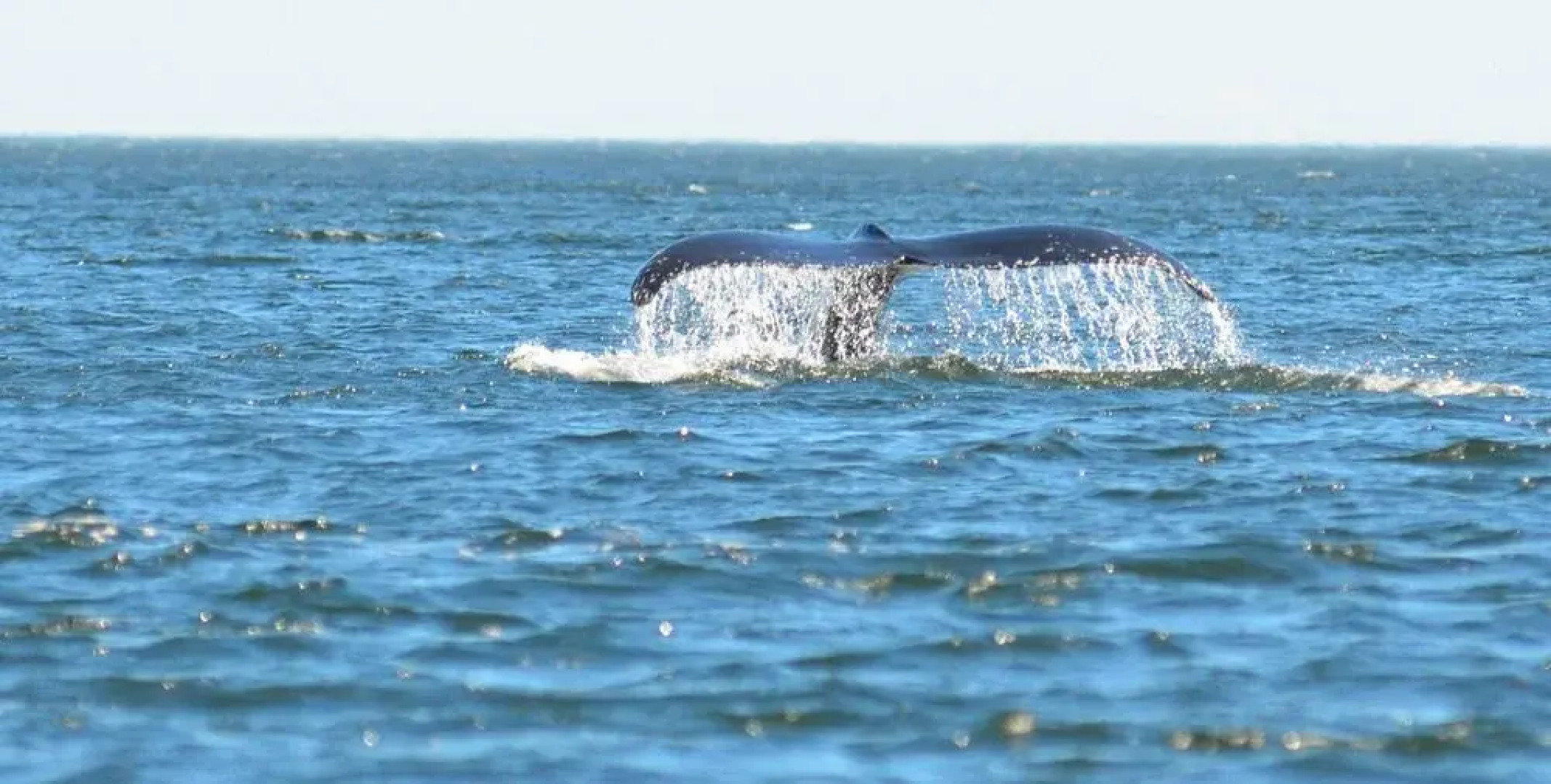 B&B Baie du Soleil Couchant