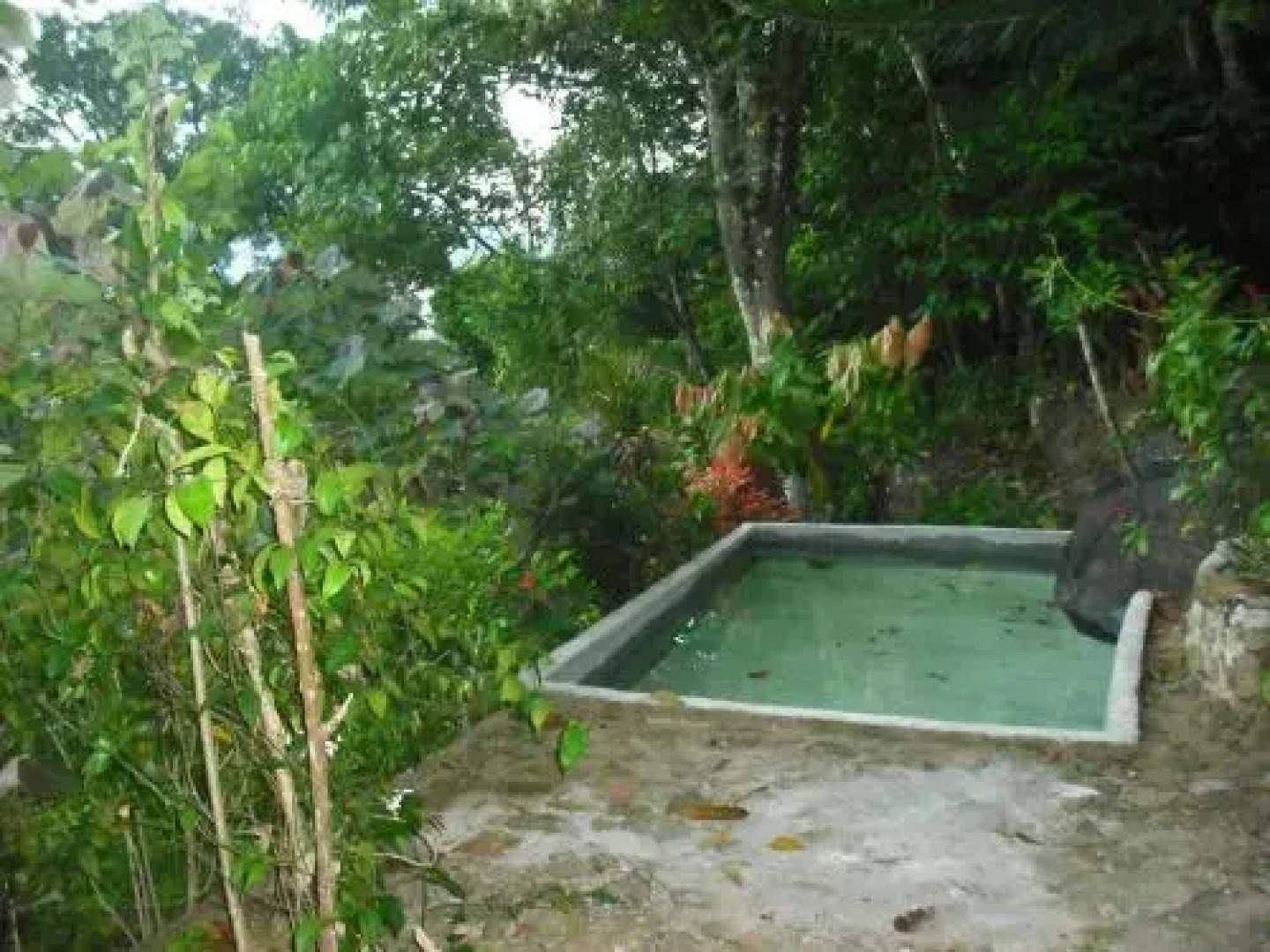 Fern Hill Resorts Kitulgala