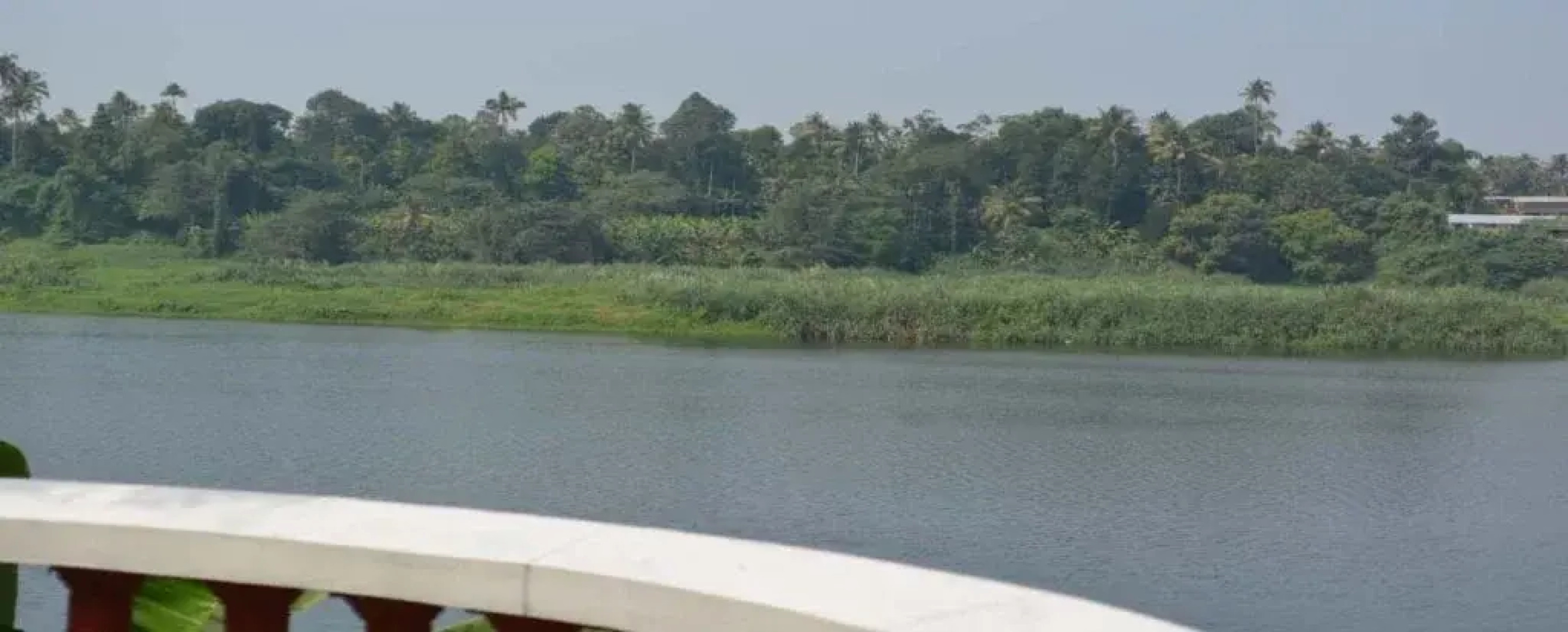 Periyar Riverview Homestay