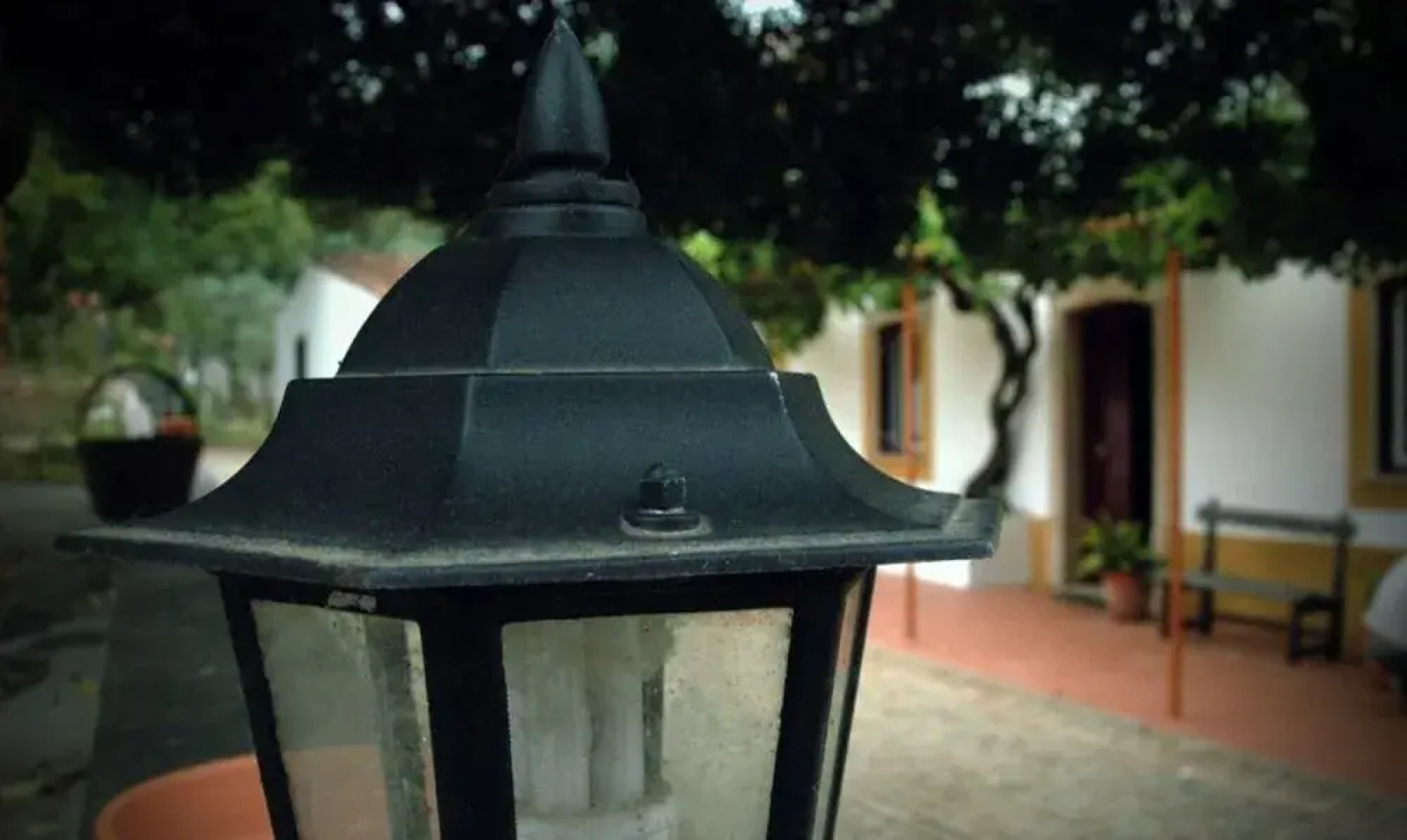 Quinta Do Vaqueirinho - Agro-Turismo