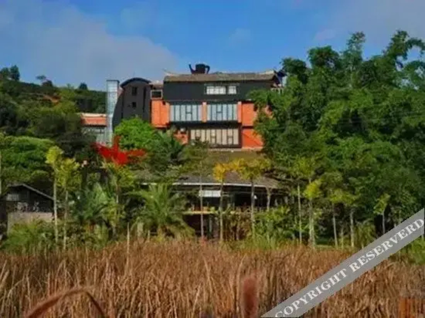 Pu'er Gudao Boke Art Inn