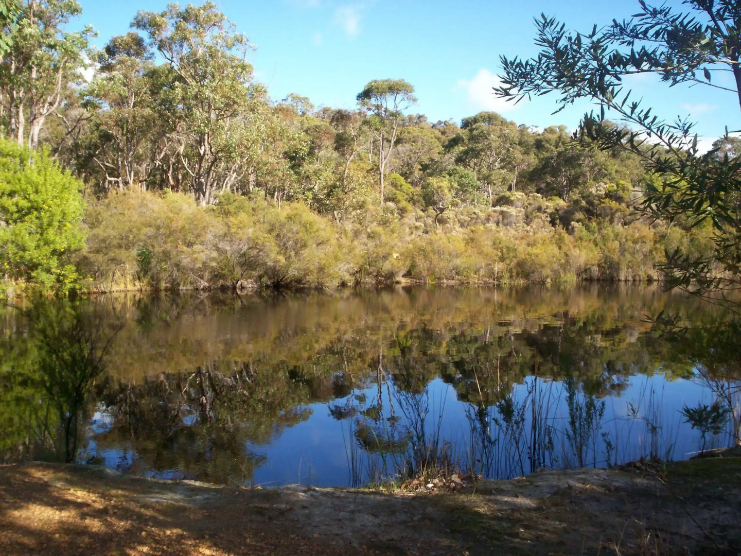 Denmark Forest Retreat