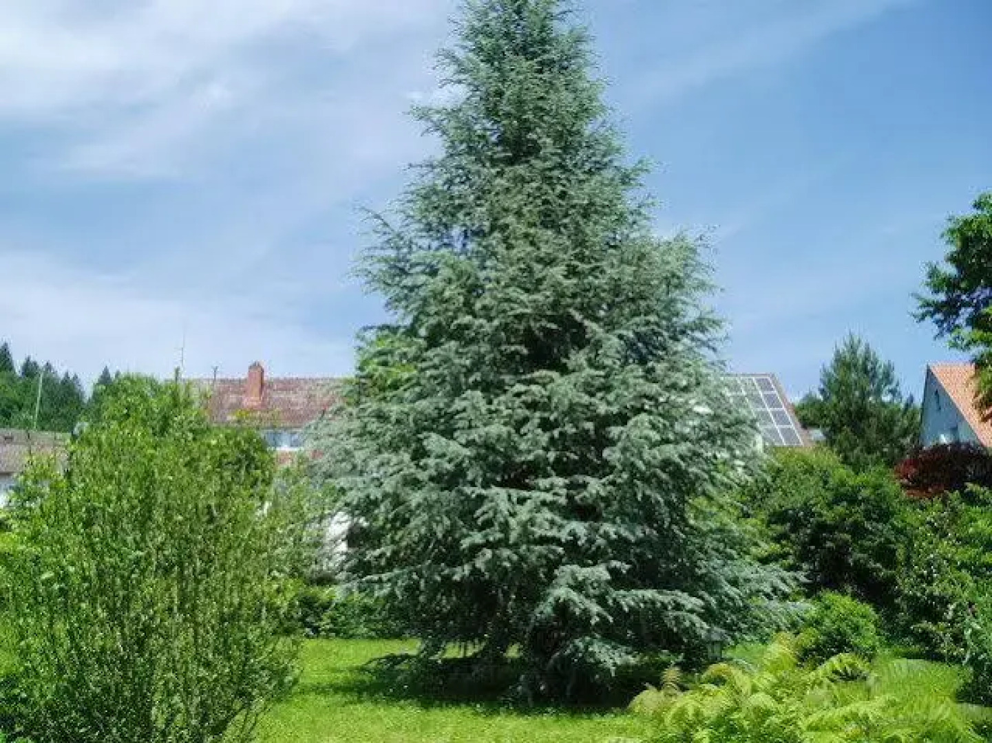 Schwarzwaldhotel Garni Wolfach