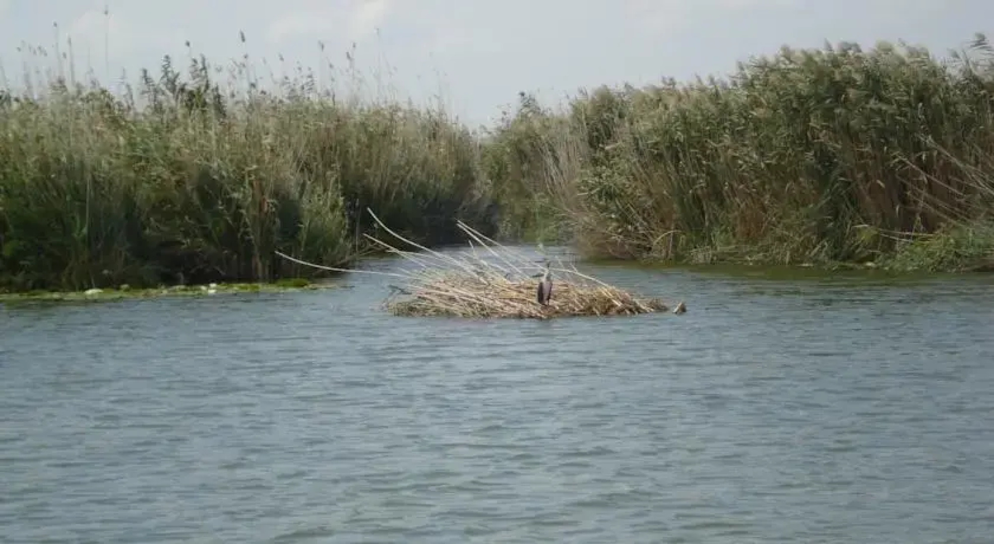 Casa de Vacanta Dunavatul de Jos