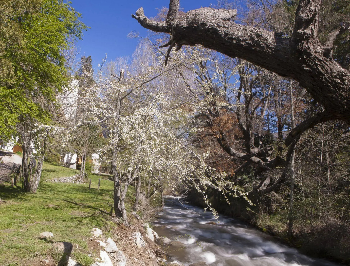 Apart Hotel Rucaleufú