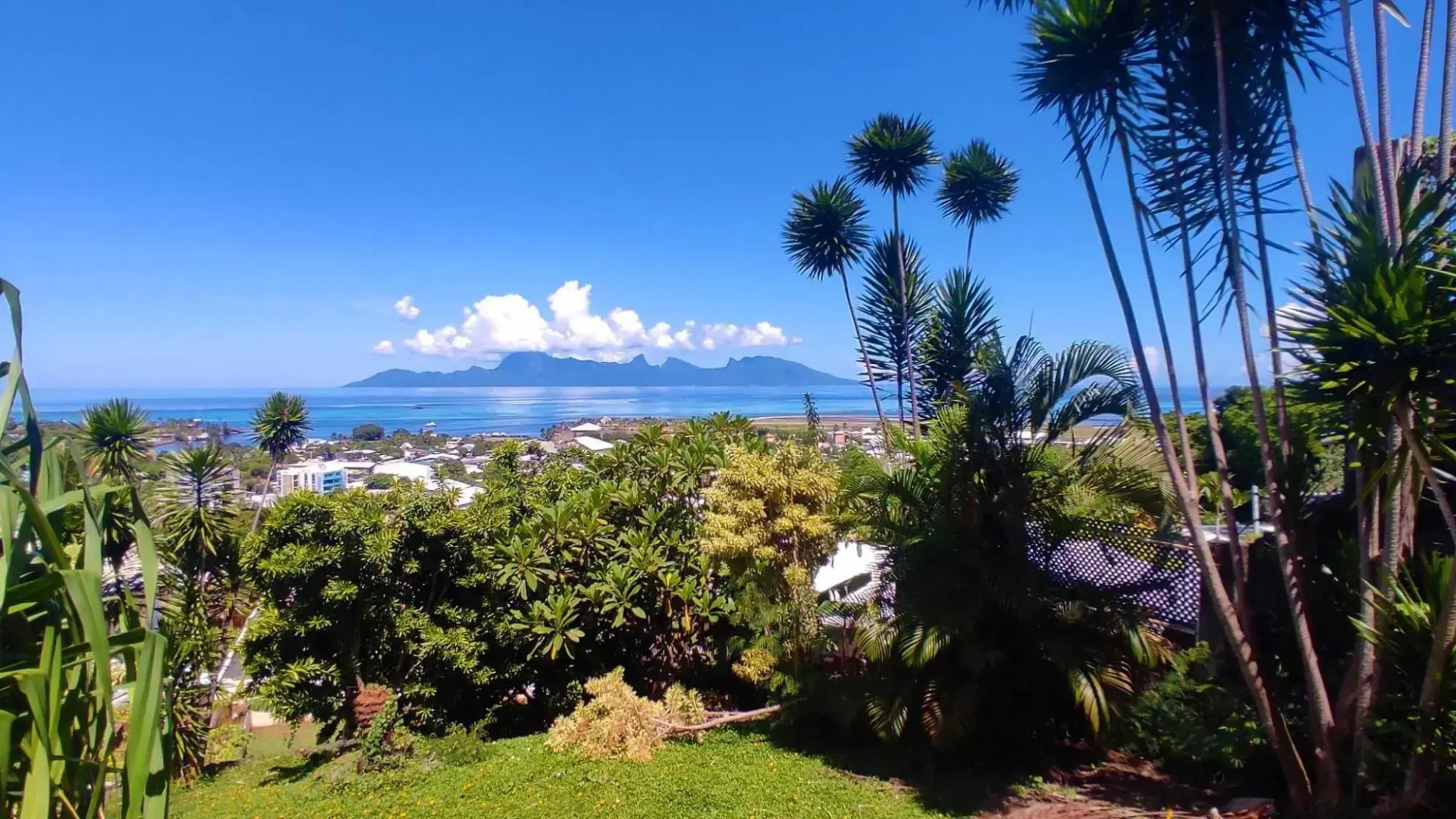 Tahiti - Studio Te Maraamu