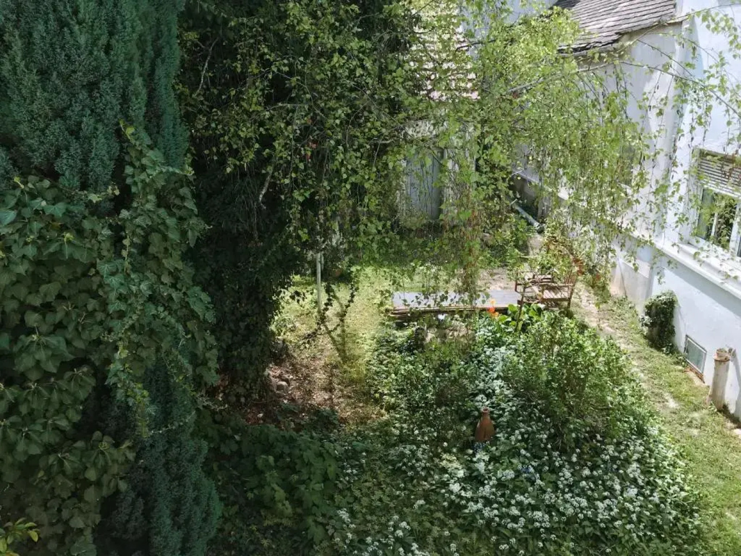 Ferienwohnung in der Fußgängerzone Gartenblick - Studio Apartment