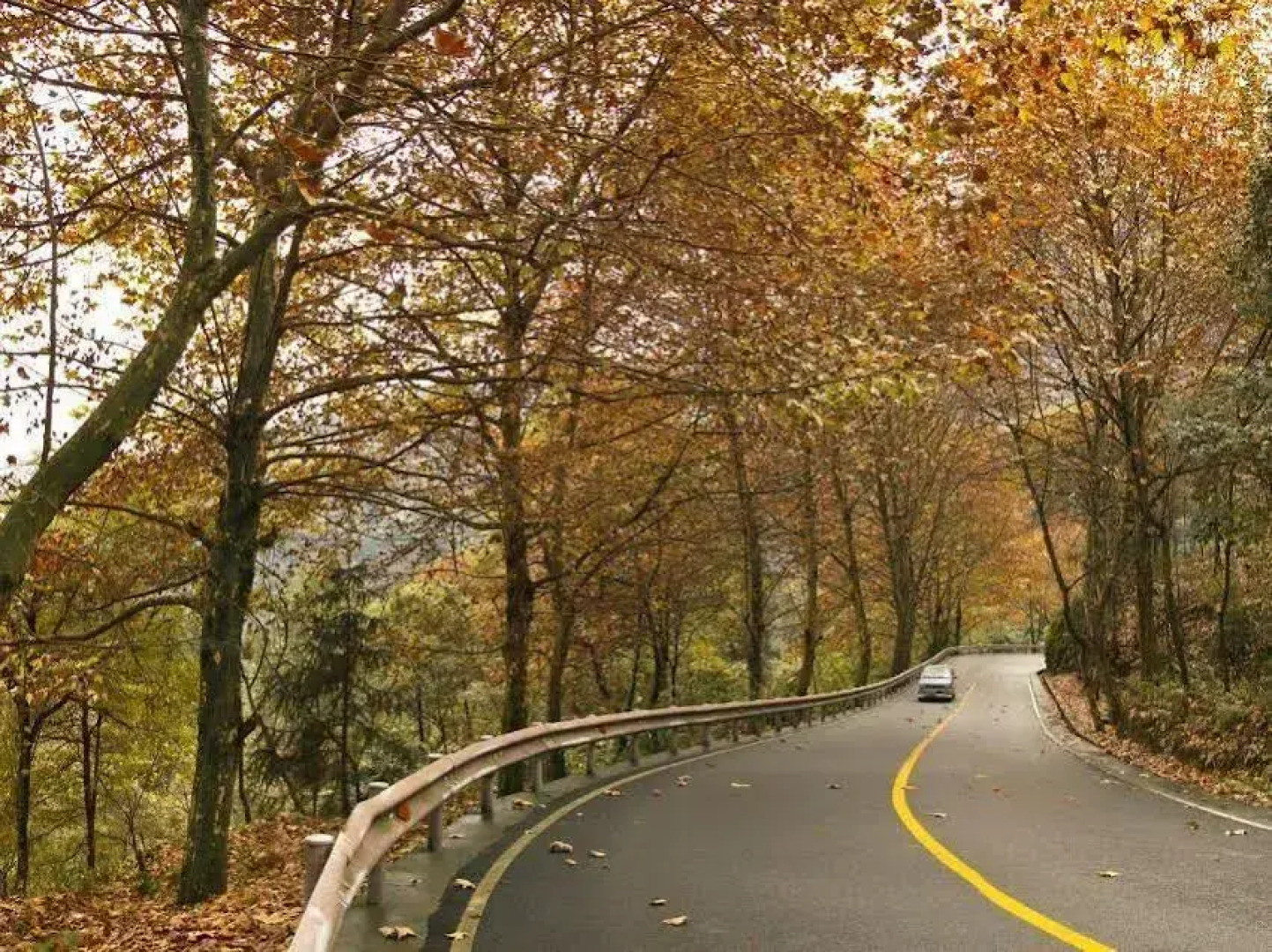 Mount Emei Qilingping Hot Spring Hotel