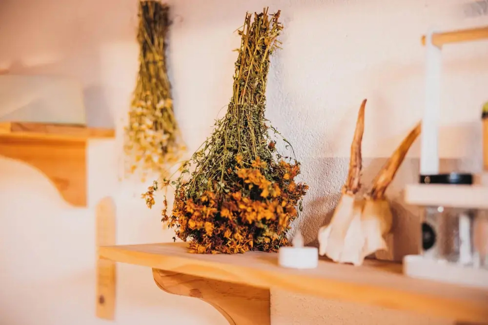 Plis Room - Old Bazaar