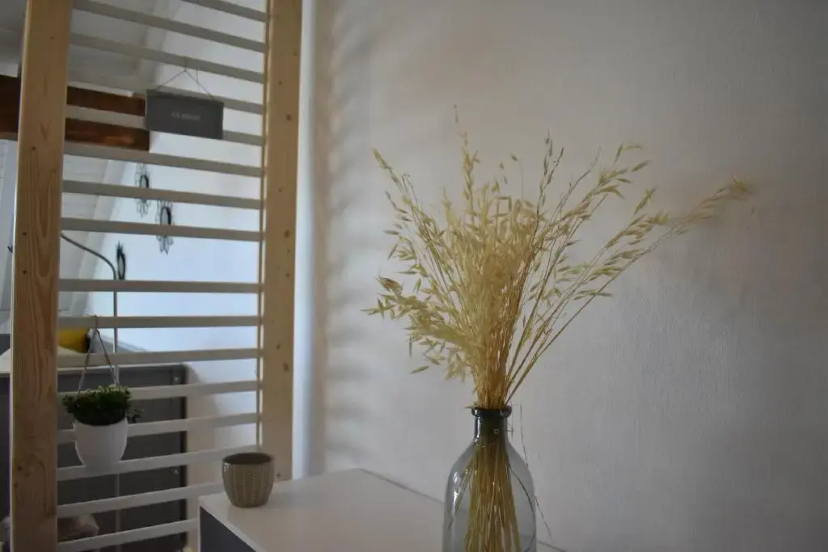 Charmant Studio, Le Petit Gris Des Montagnes