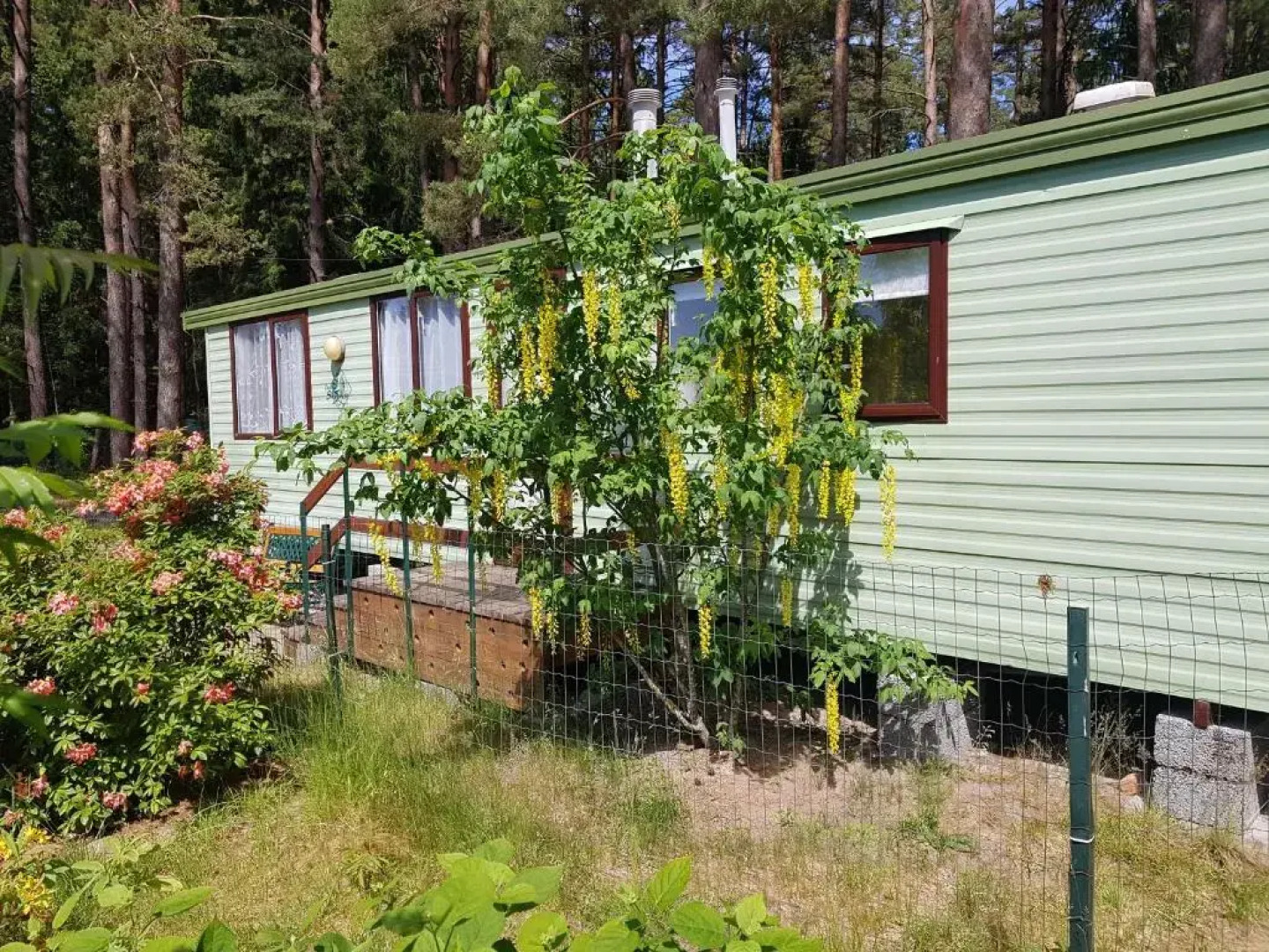 Beautiful holiday home near the pine forest