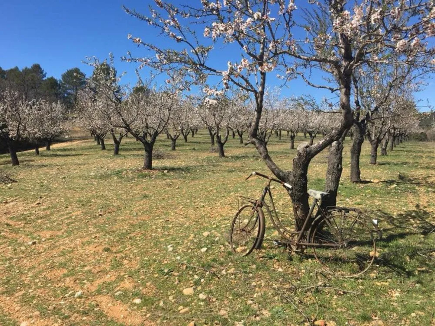 Le Clos des Collines. Chambre d'hôtes