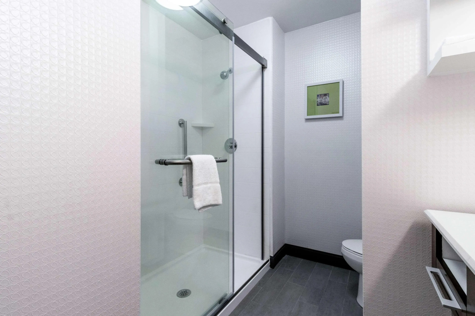 Hampton Inn Locust Grove