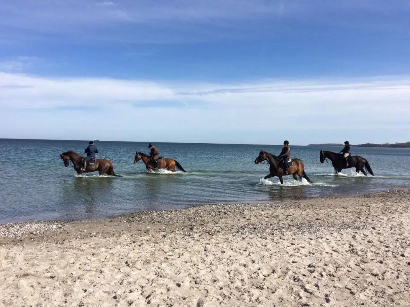 Ostseeferienwohnung Storchennest