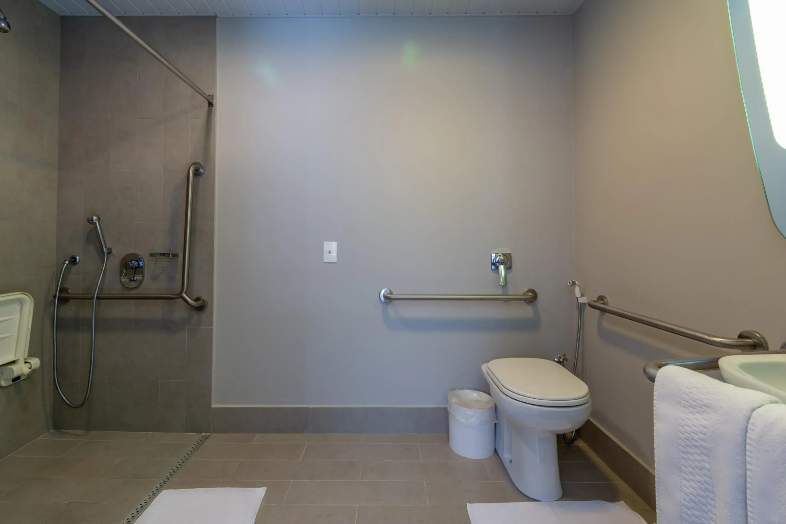 ibis Campo Grande