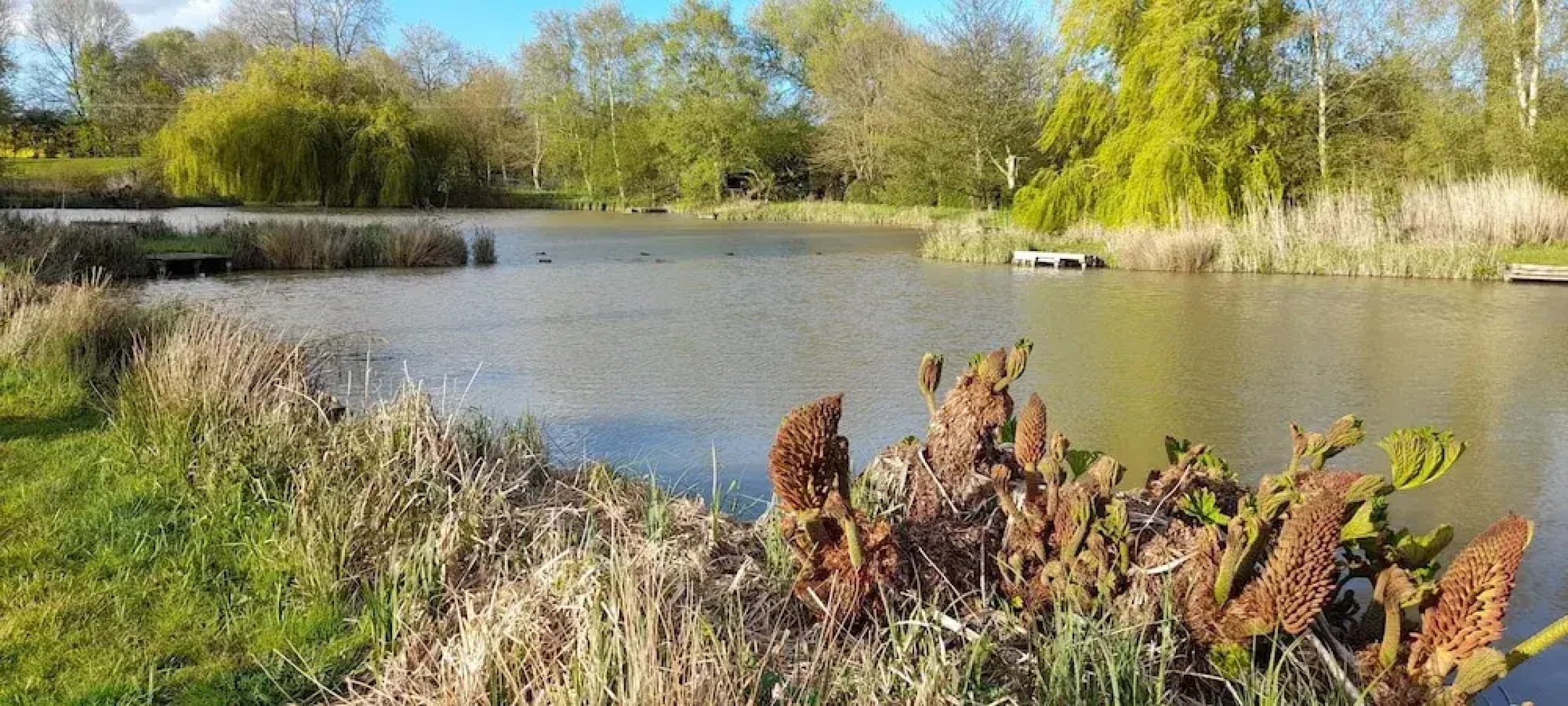 Beautiful 1 Bedroom Cottage With Fishing Lake