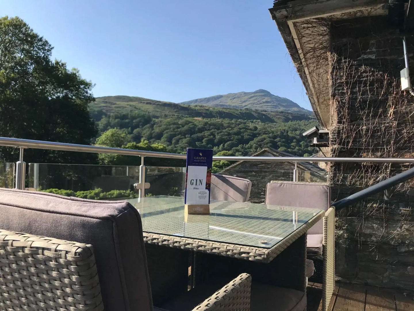 Grapes Hotel Maentwrog