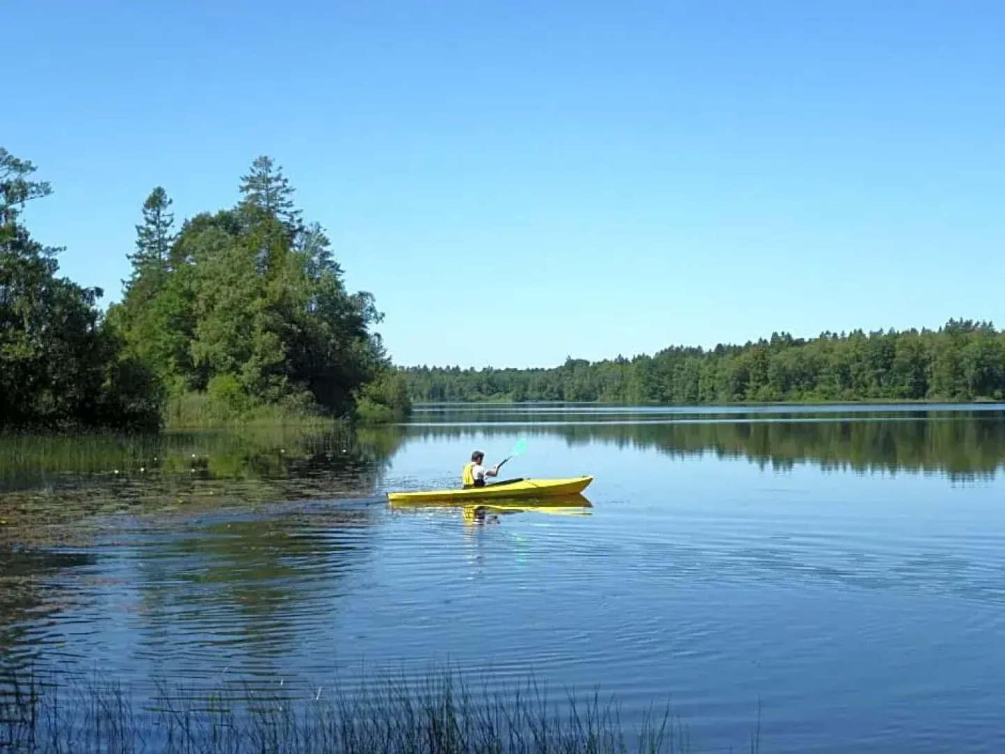Hotell Vita Hästen Hästveda