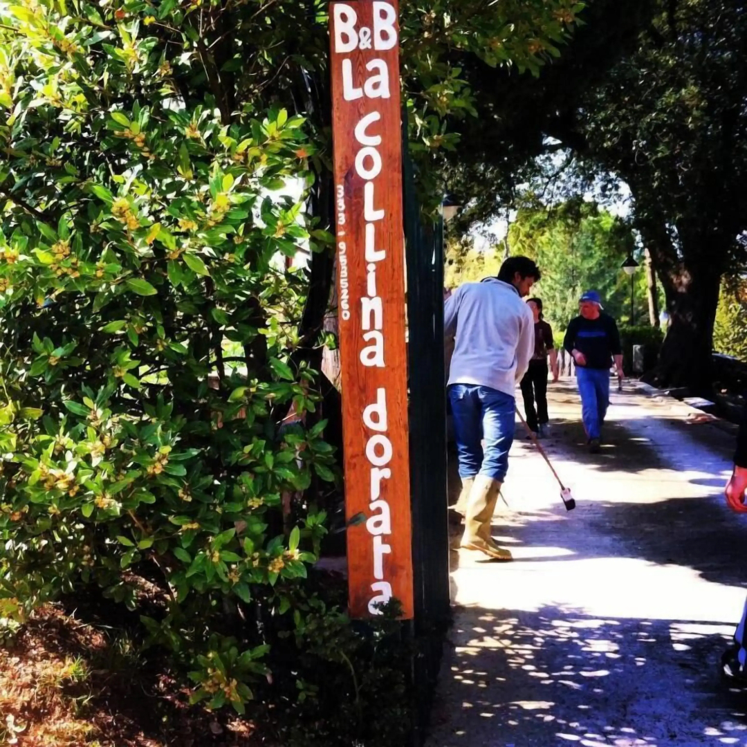 B&B La Collina Dorata