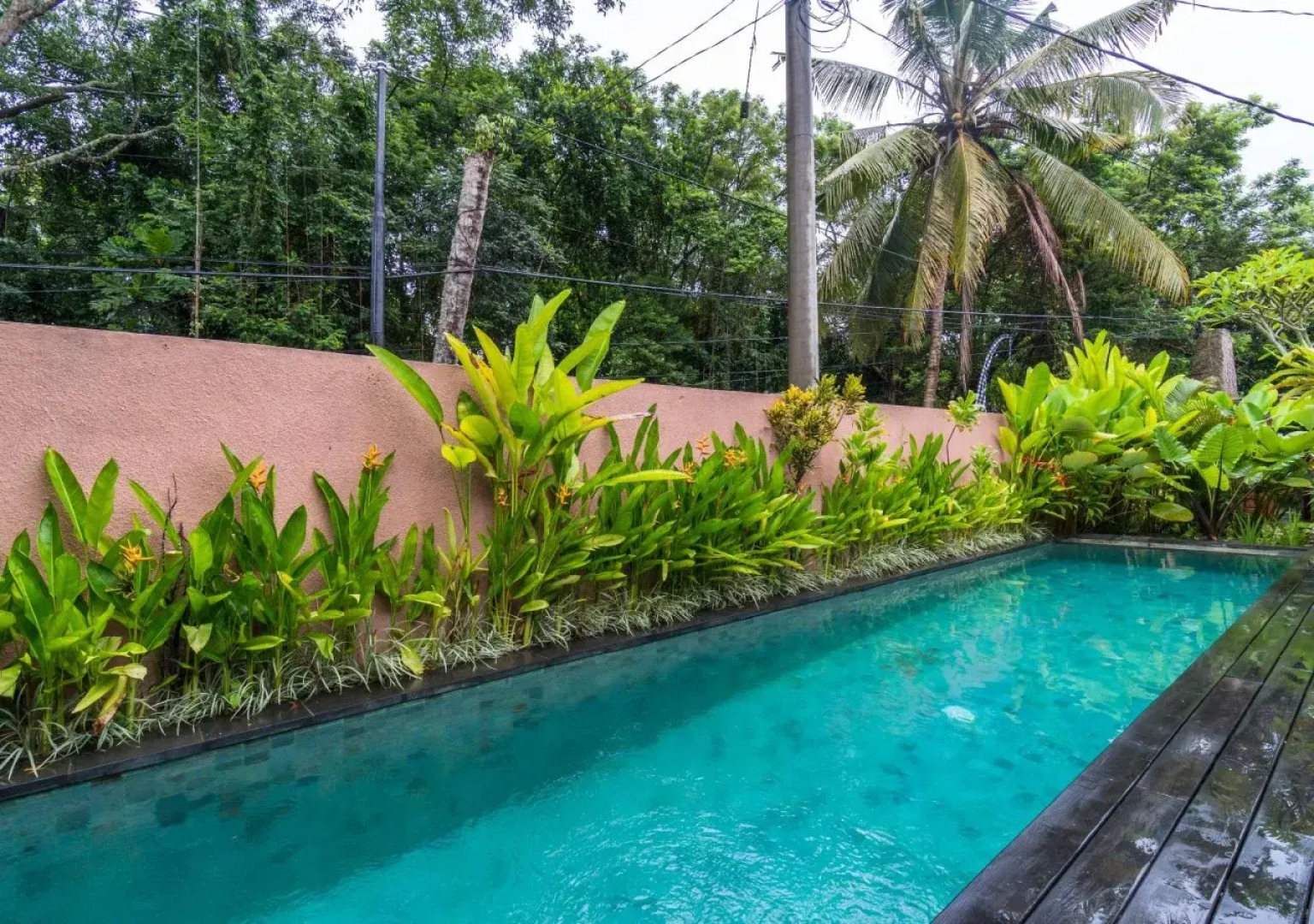 Gekkos Ubud