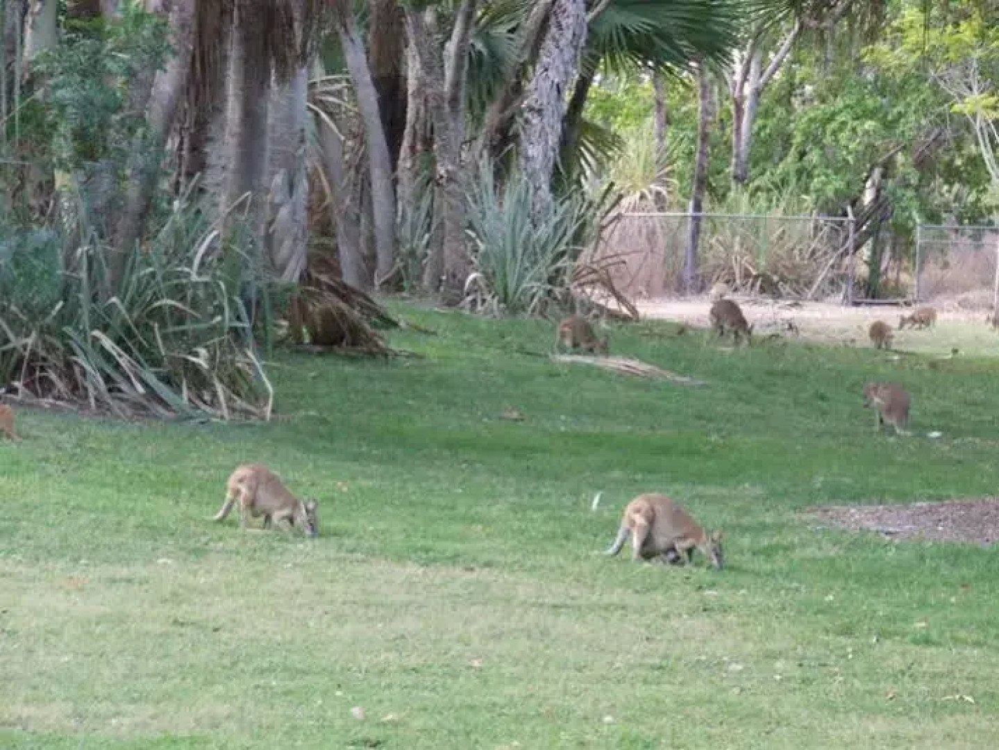 Territory Manor Motel & Caravan Park