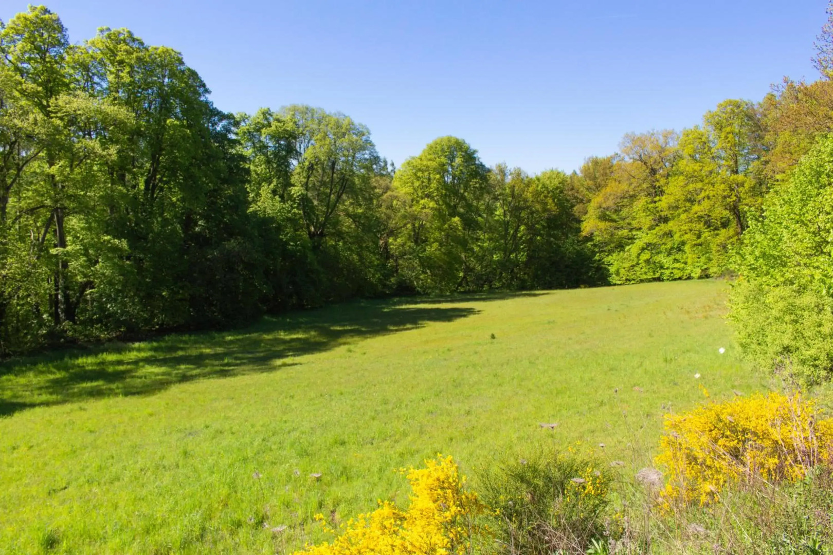 Wonderful Apartment With Great Location