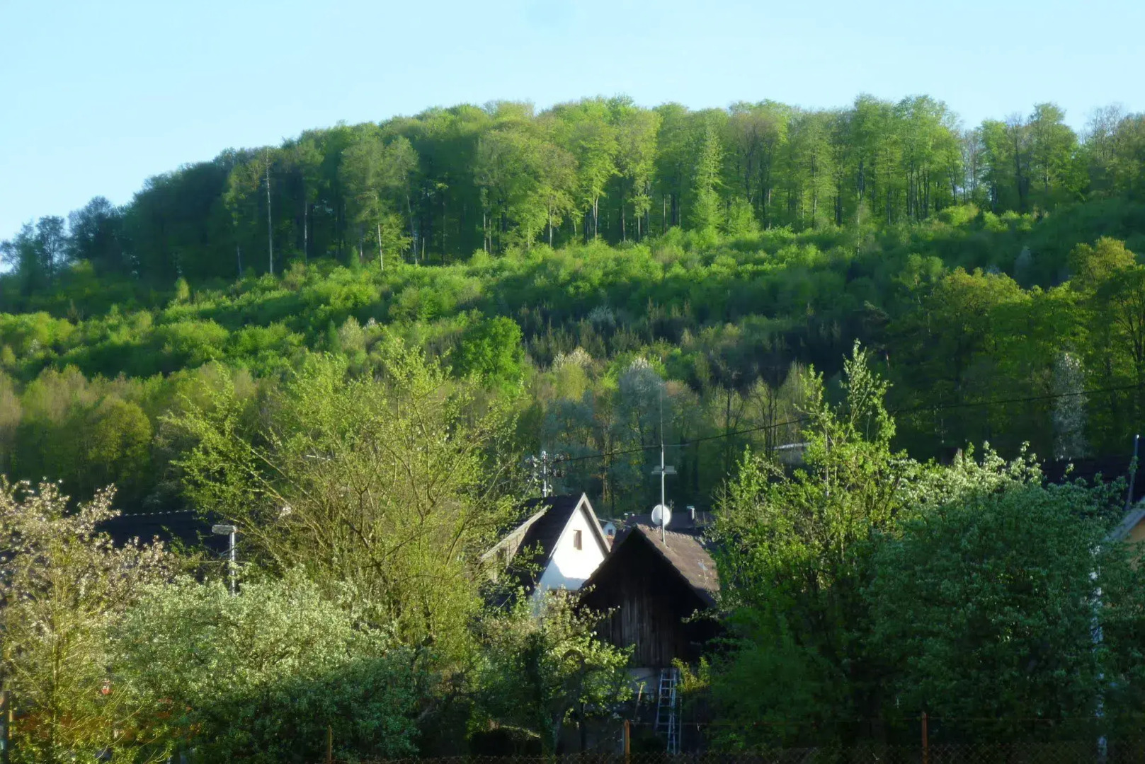 Schwarzwald Domizil Uhlsberg