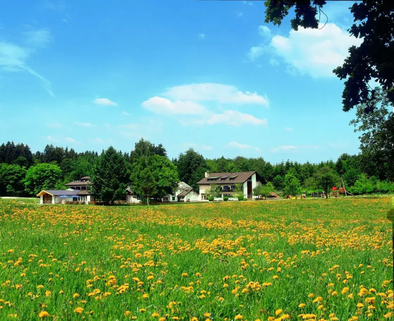 Waldgasthof zum Geländer