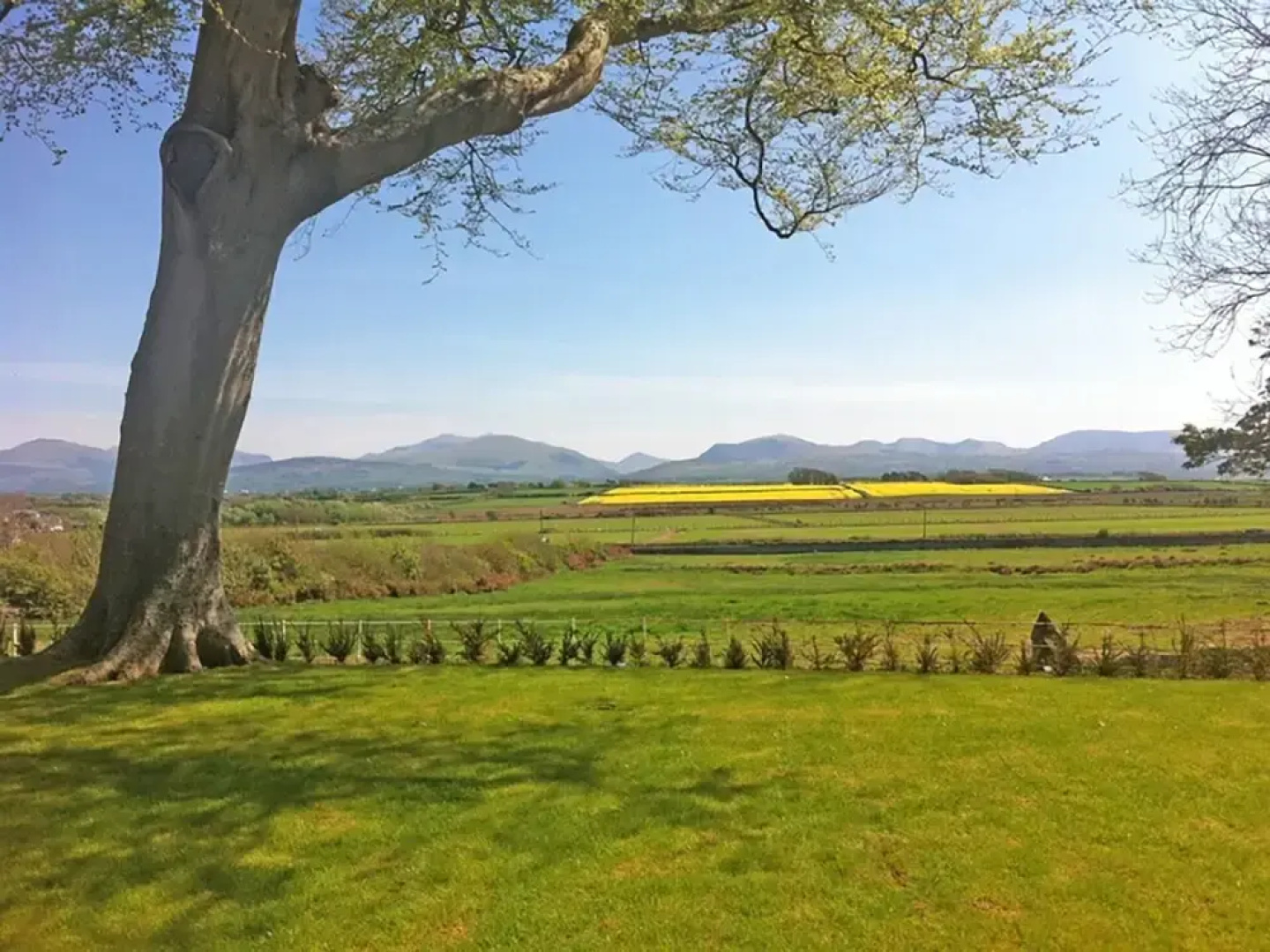 Clynnog House