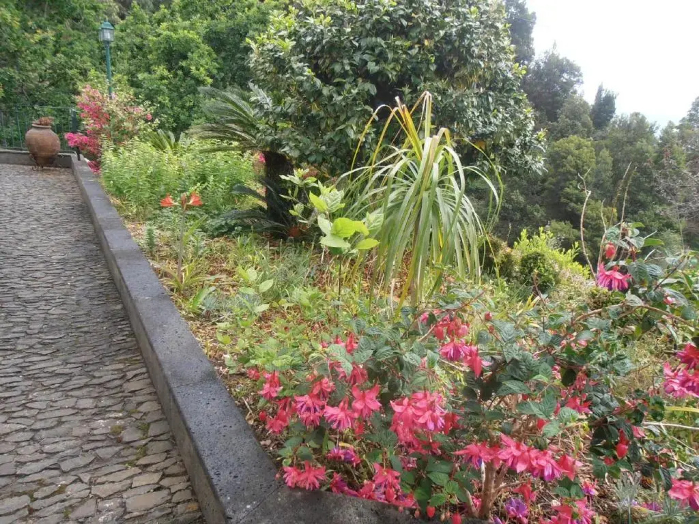 Refúgio das Camélias