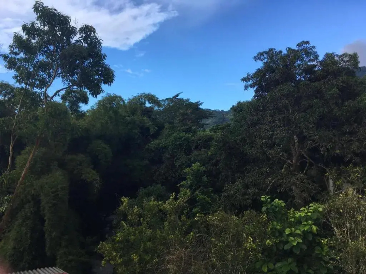 Espectacular apartamento rodeado de la naturaleza