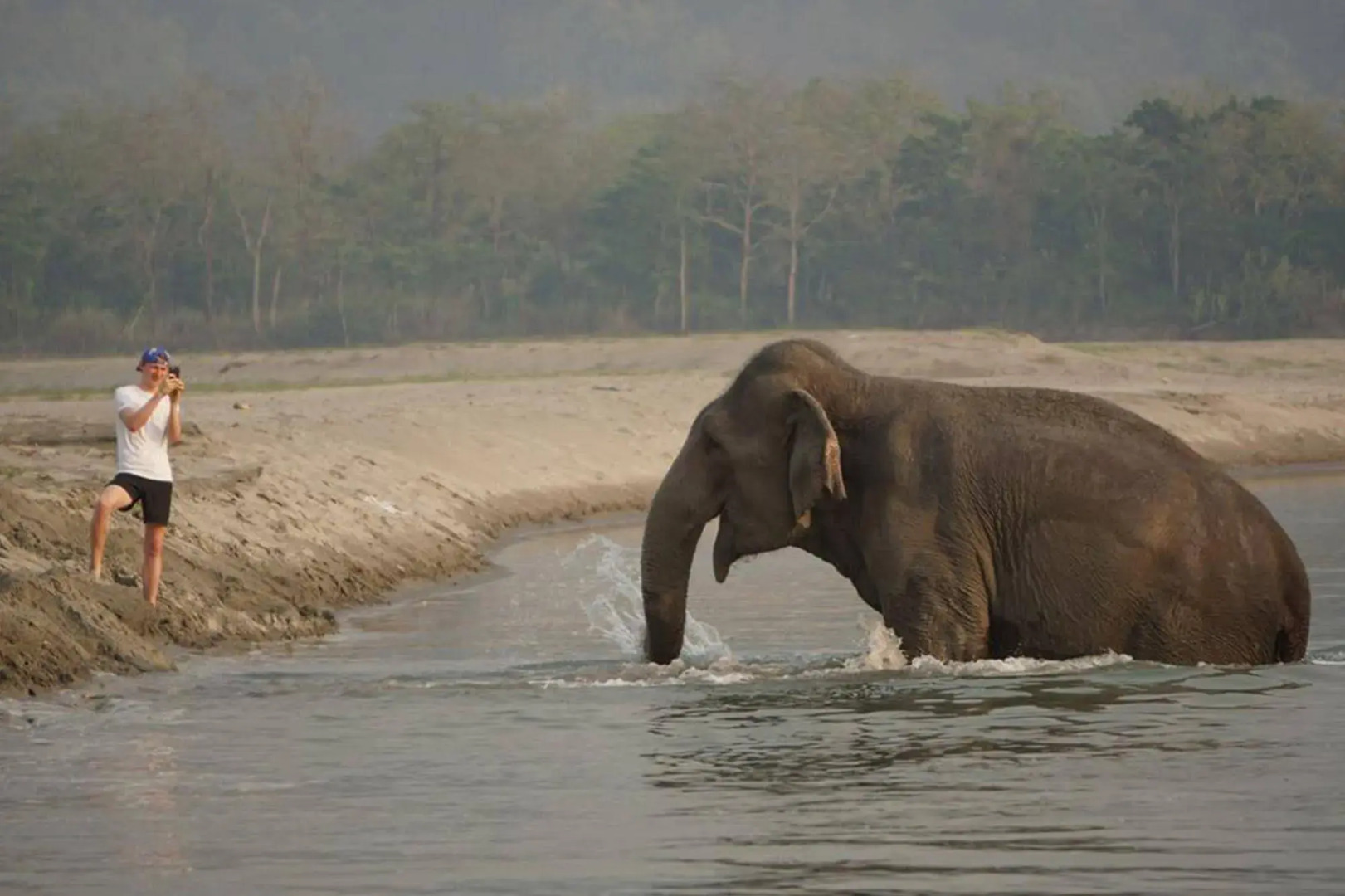 Tiger Tops Tharu Lodge