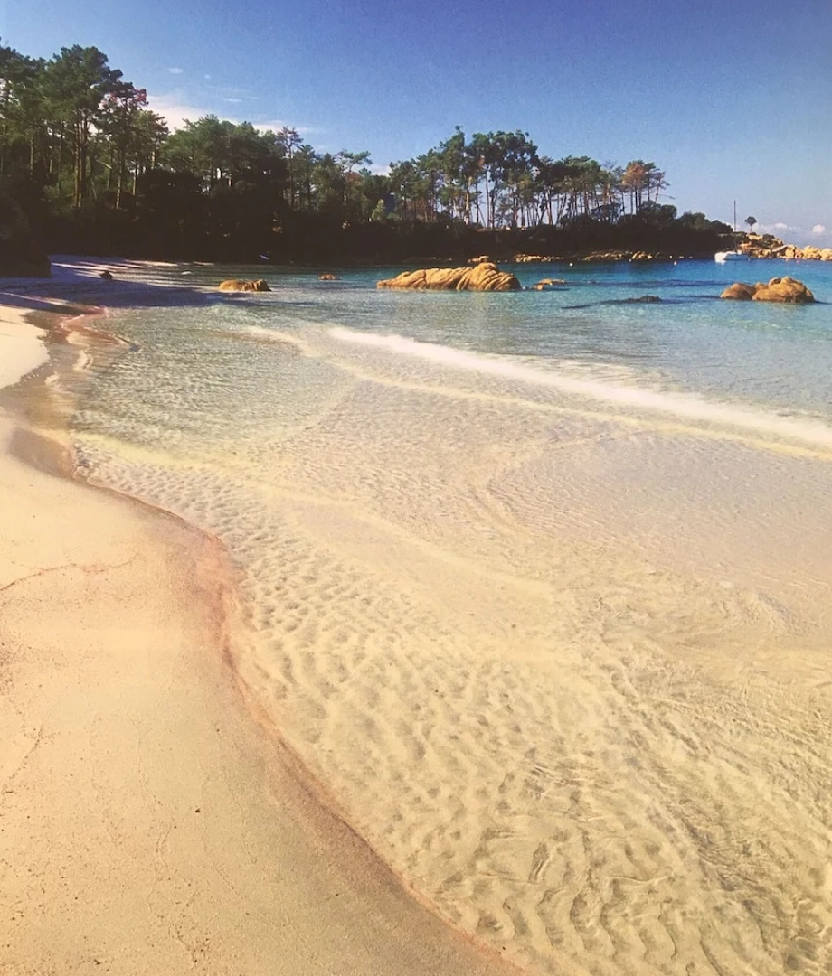 Appartement vue mer Panoramique