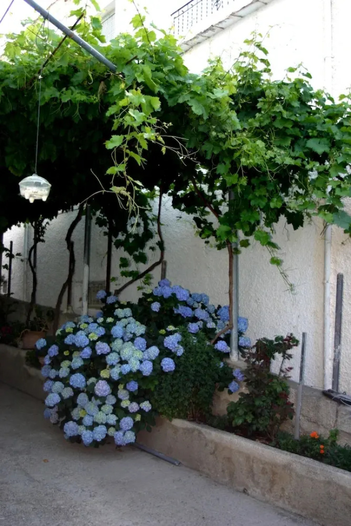 Apartamentos Las Terrazas