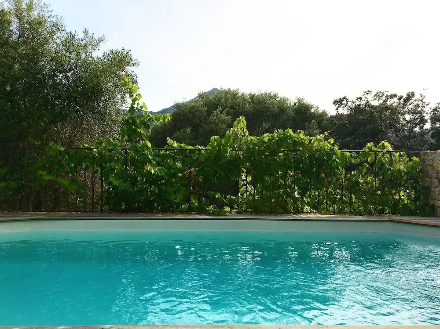 Casa Natura
