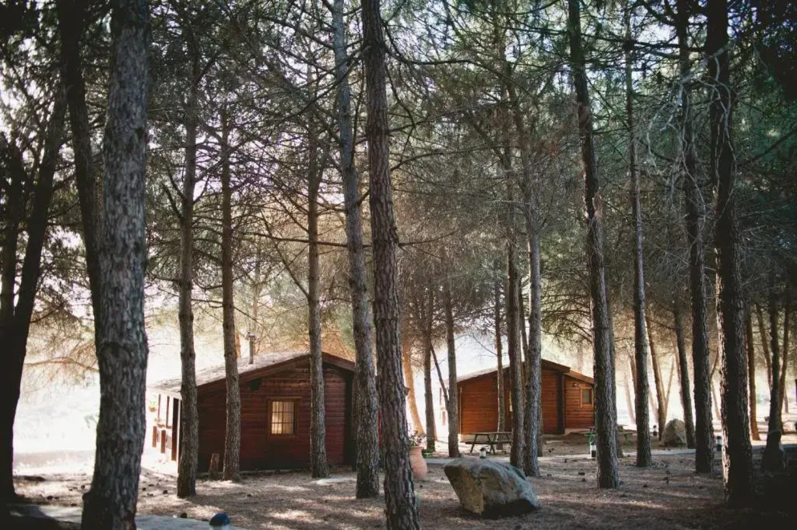 Kibbutz Ortal Tourism