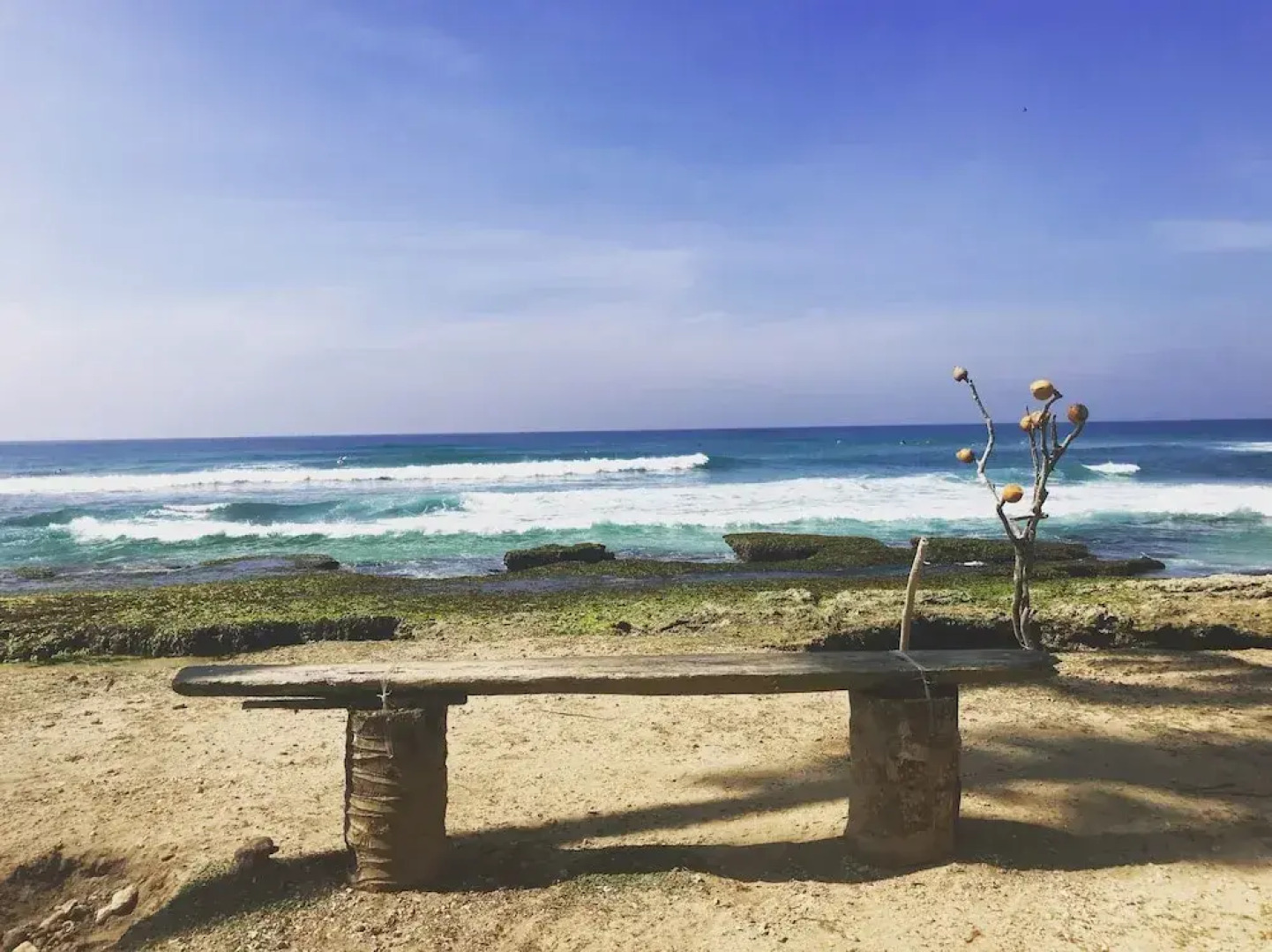 Villa Coconut - Hostel