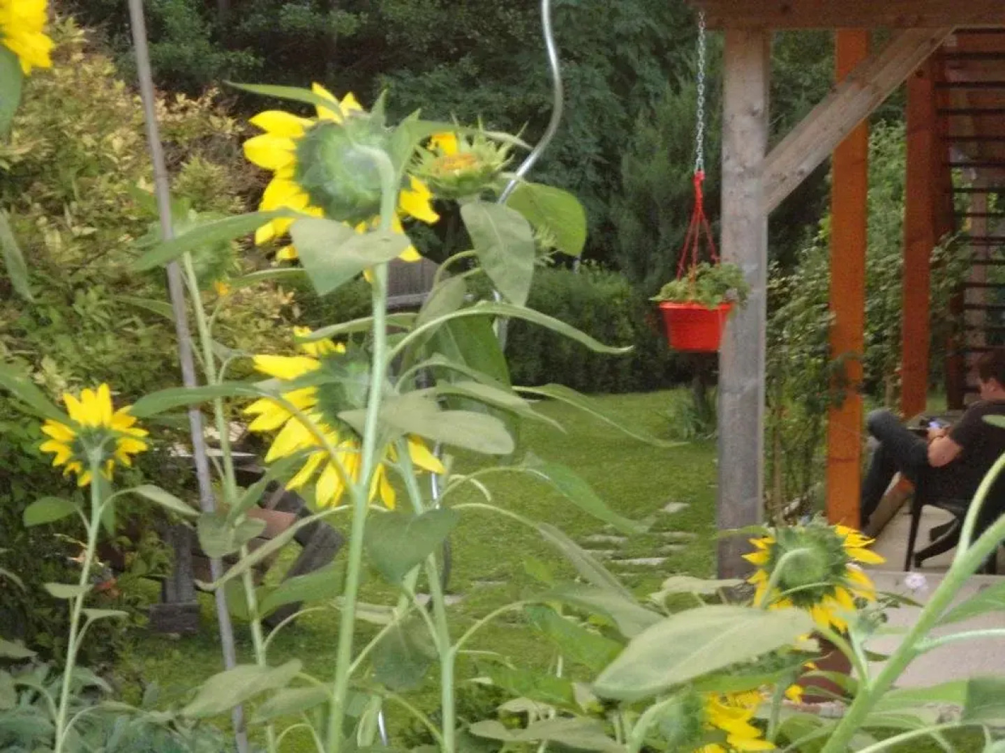 Ferienwohnungen Fam. Pabst