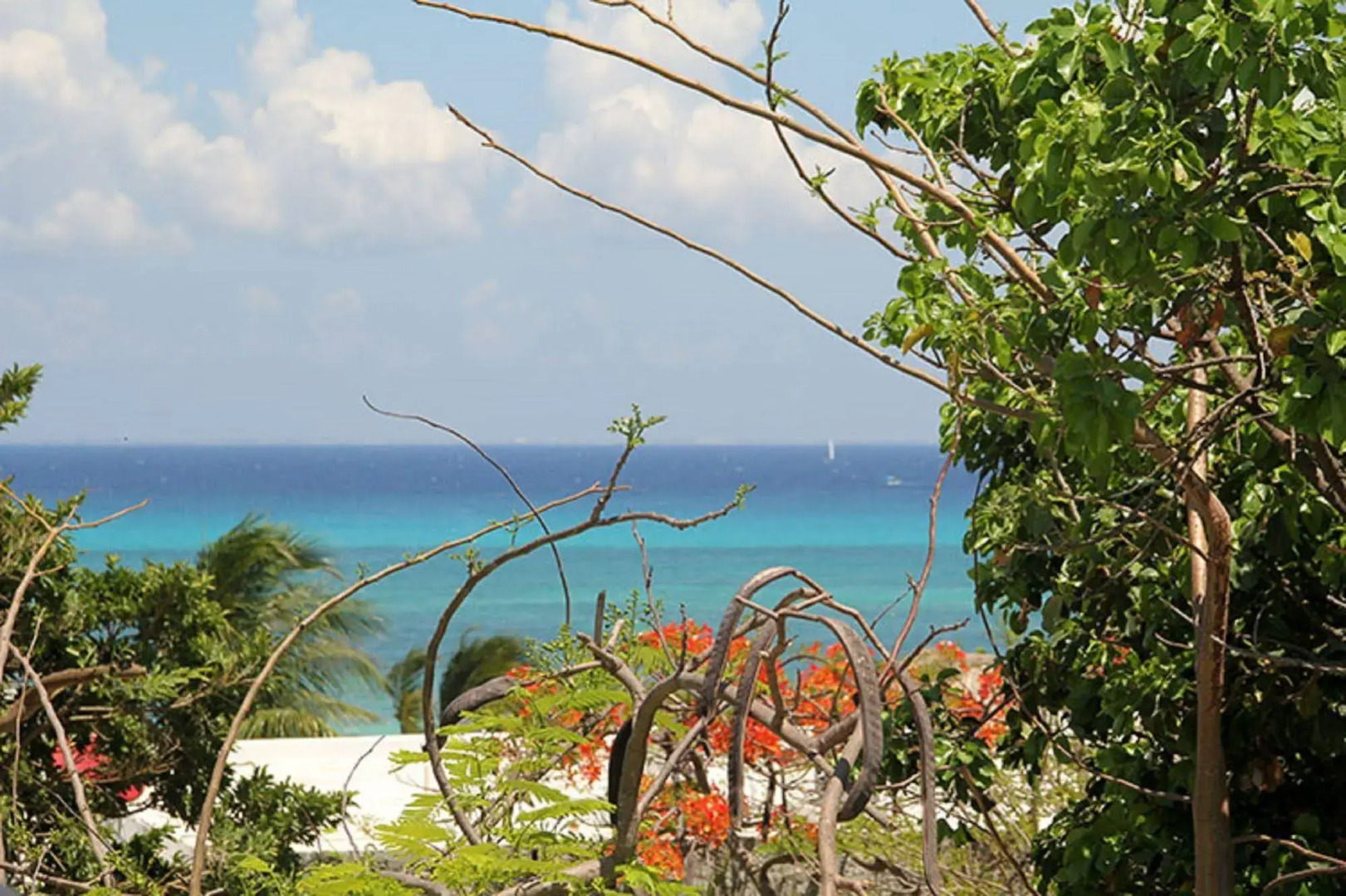 El Secreto Hotel by Bunik