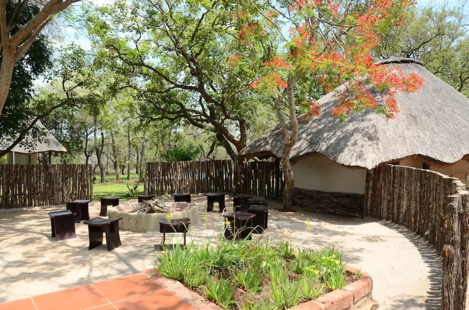 Wild Dogs Safari Lodge