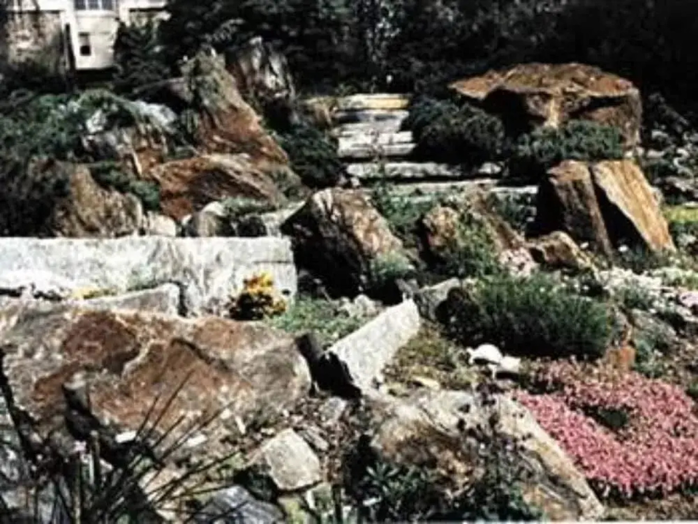 Alpenhof Bed and Breakfast