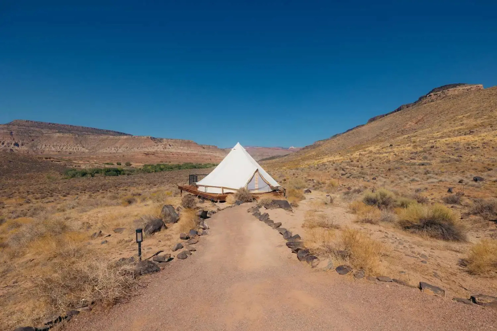 Zion Wildflower, BW Premier Collection