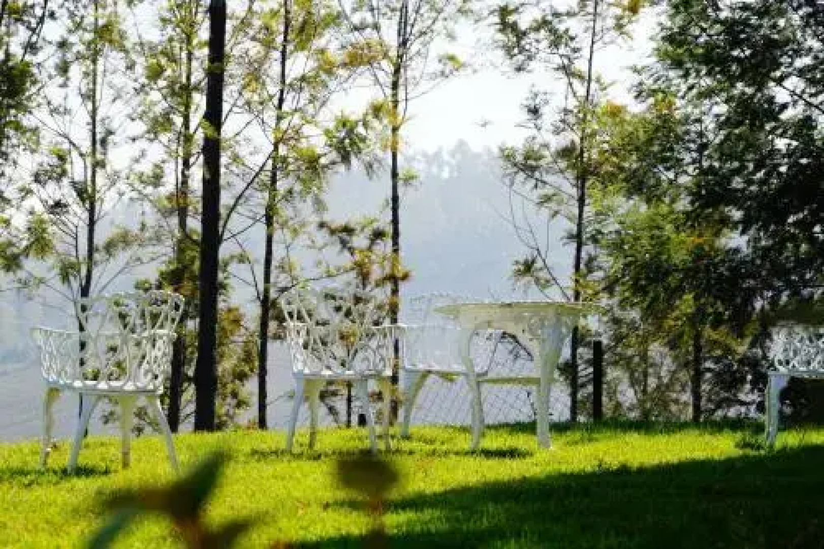 The Clive and Curzon