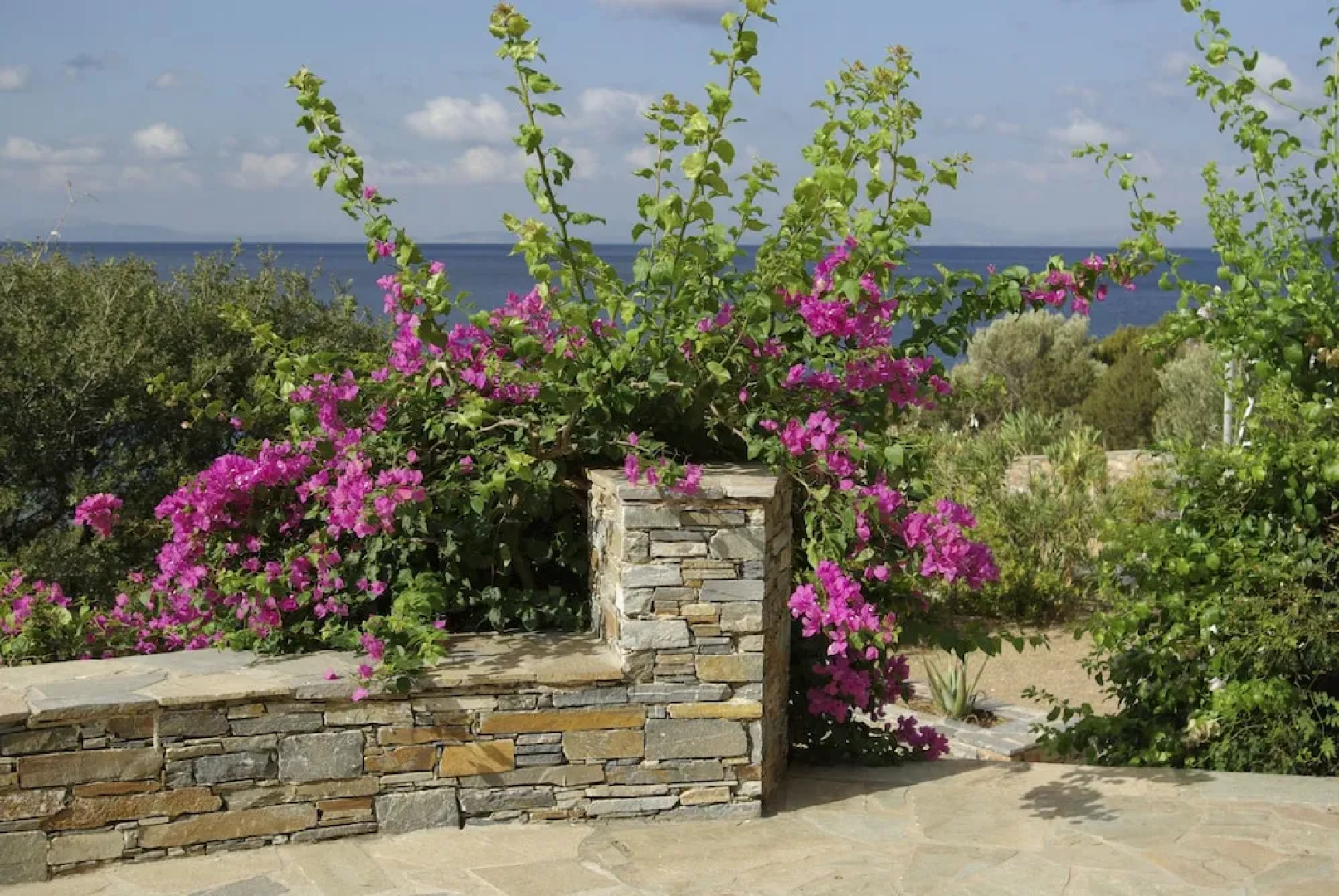 Villa Dolphins