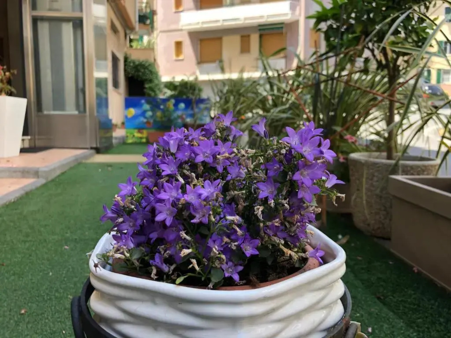 Casa Vacanze Isophylla