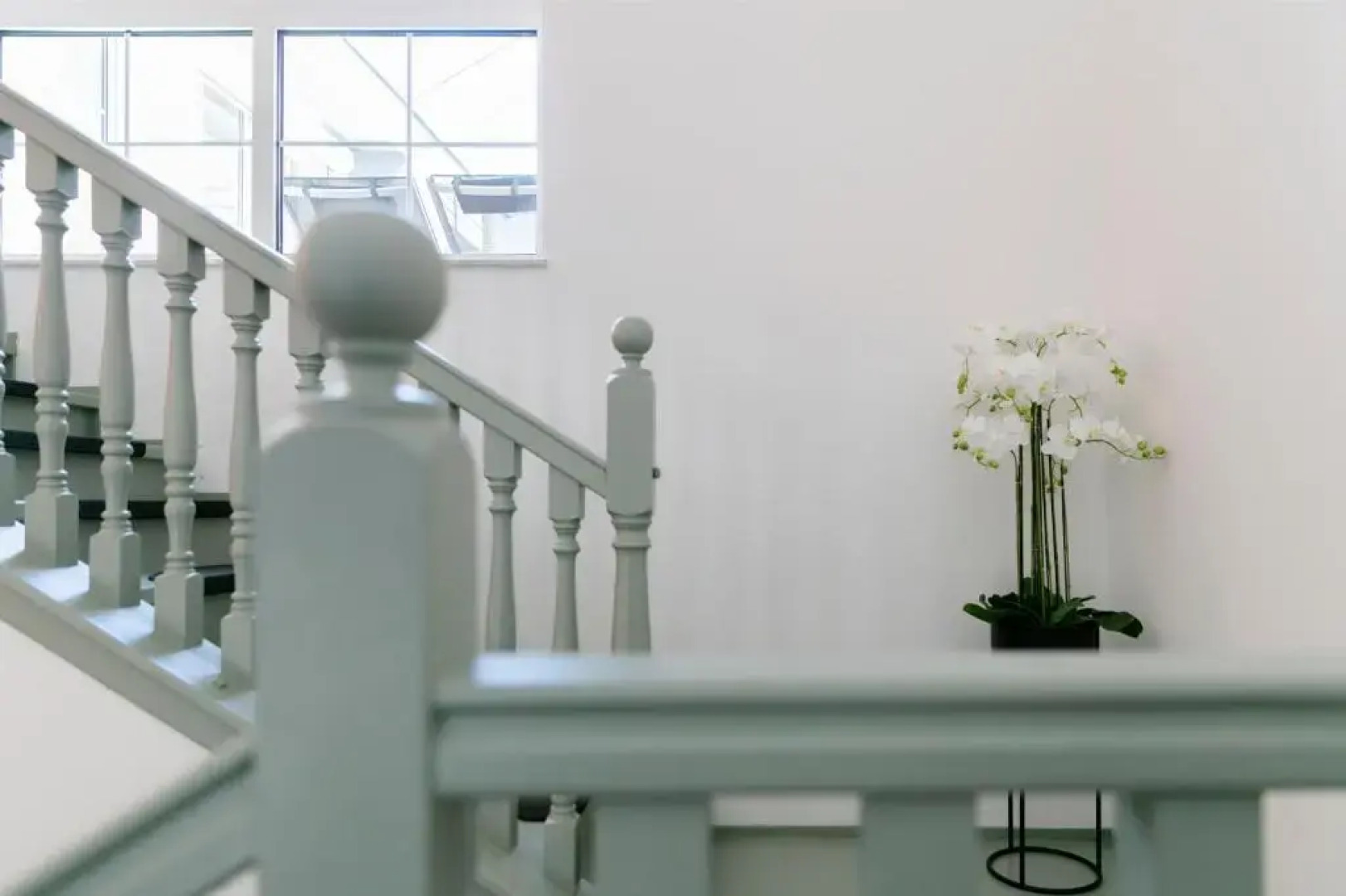 KRACHER Ferienhaus No 2