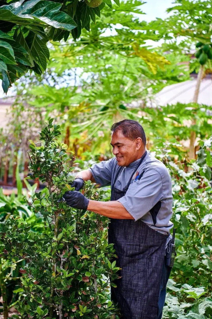 The Westin Hapuna Beach Resort