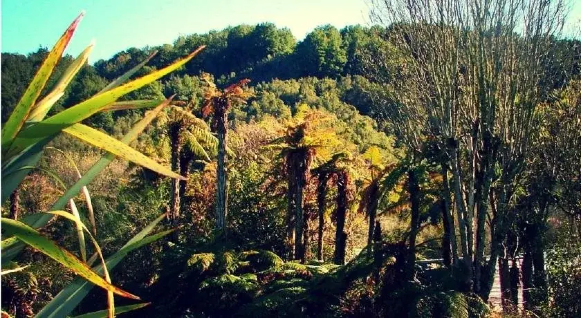 Brunnerton Lodge and Backpackers